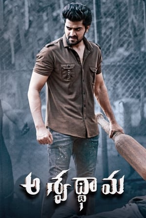 Aswathama 2020 (Hindi – Telugu) Dual Audio 340MB - Movierulz
