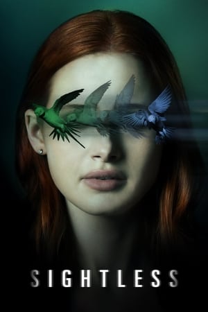 Sightless 2020 Hindi Dual Audio 300MB - Movierulz