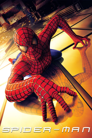 Spider Man 2002 100mb Hindi Dual Audio movie Download - Movierulz